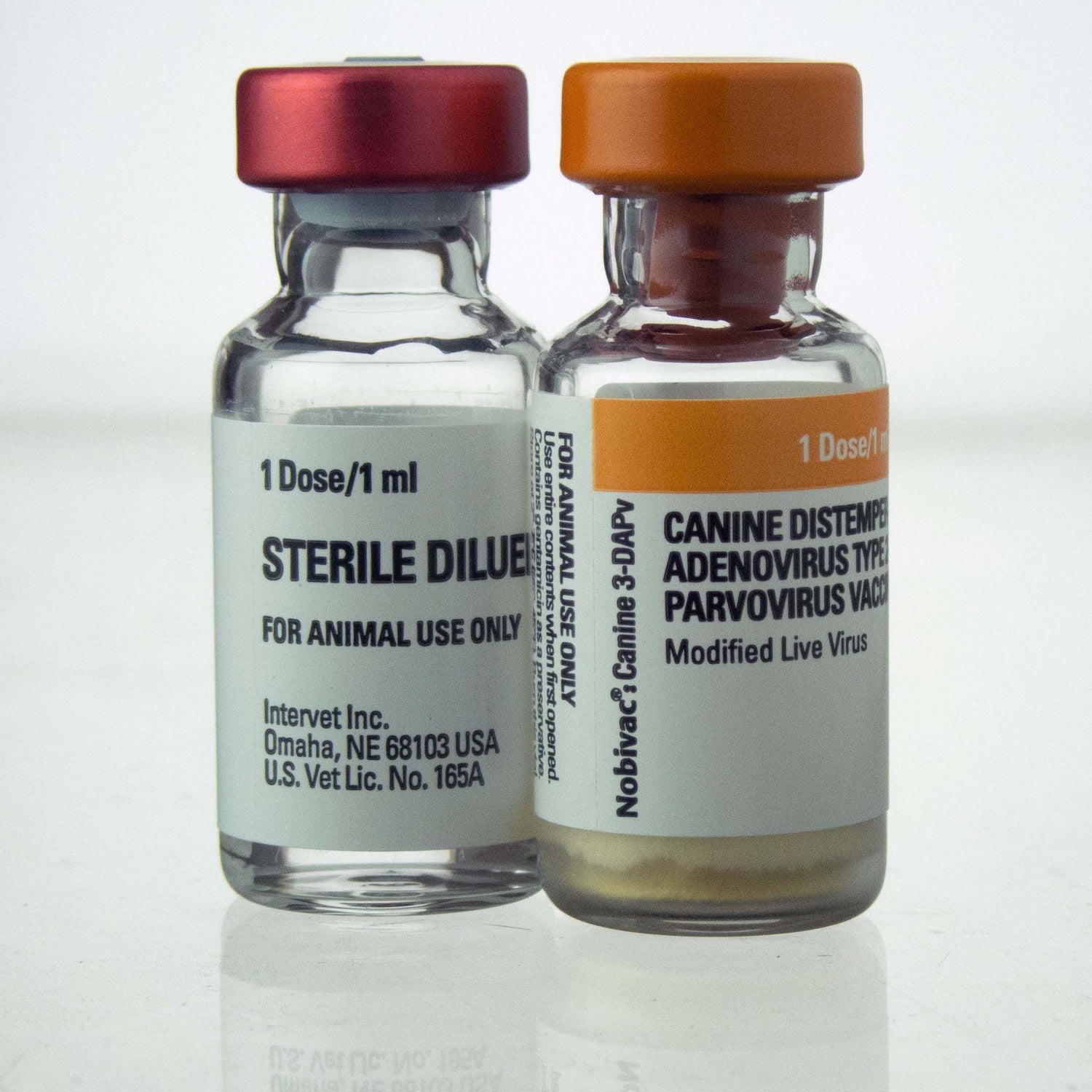 Nobivac Canine 3 - DAPv 1 ml/Dose 25 x 1 ml