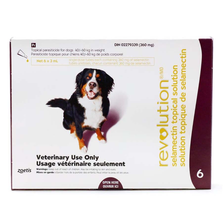 Revolution for Dog Plum/Prune 40.1 - 60 kg 6 Tubes