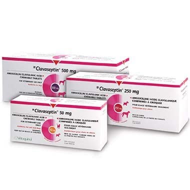 Clavaseptin chewable tablet for cats and dogs 50 mg 100 Tab