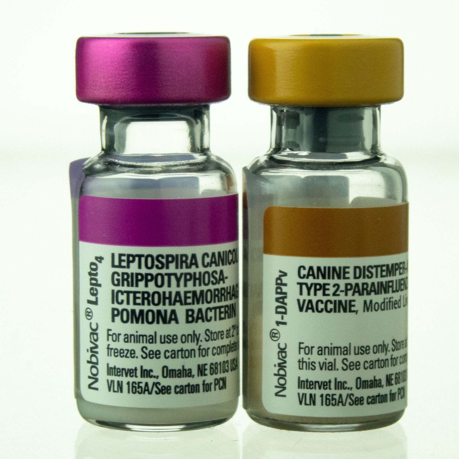 Nobivac Canine 1-DAPPv + Lepto 4 1 ml/Dose 25 x 1 ml
