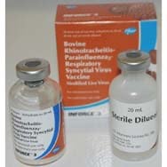 Inforce 3 2 ml/Dose 20 ml
