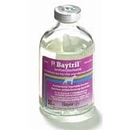 Baytril Injectable Solution 50 mg/ml 50 ml