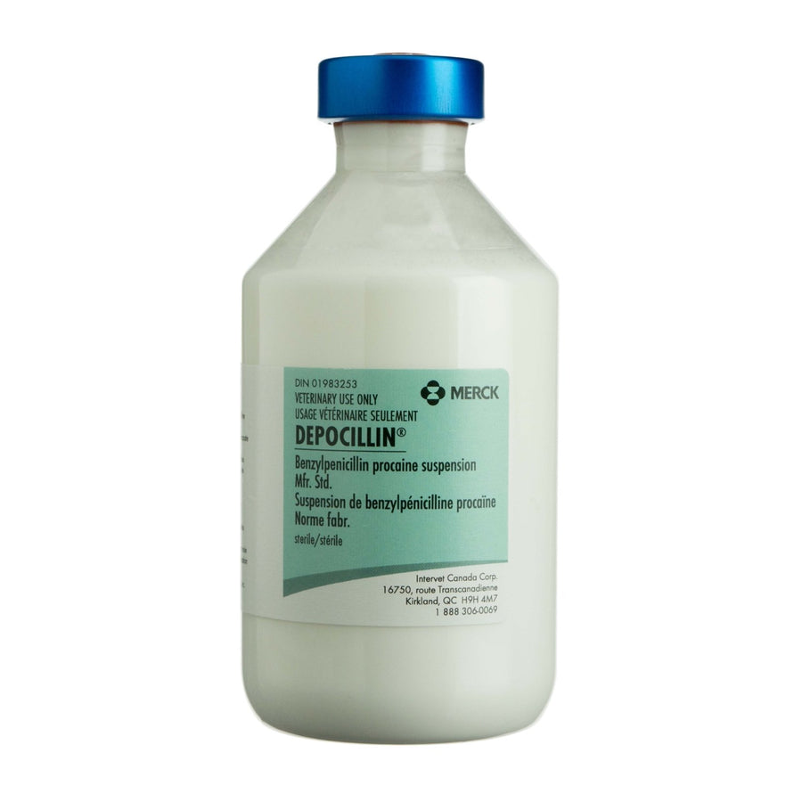 Depocillin 300000 Units/ml 100 ml