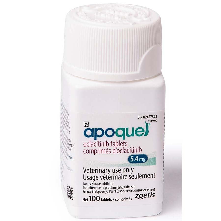 Apoquel tablet for dogs 5.4 mg 100 Tab