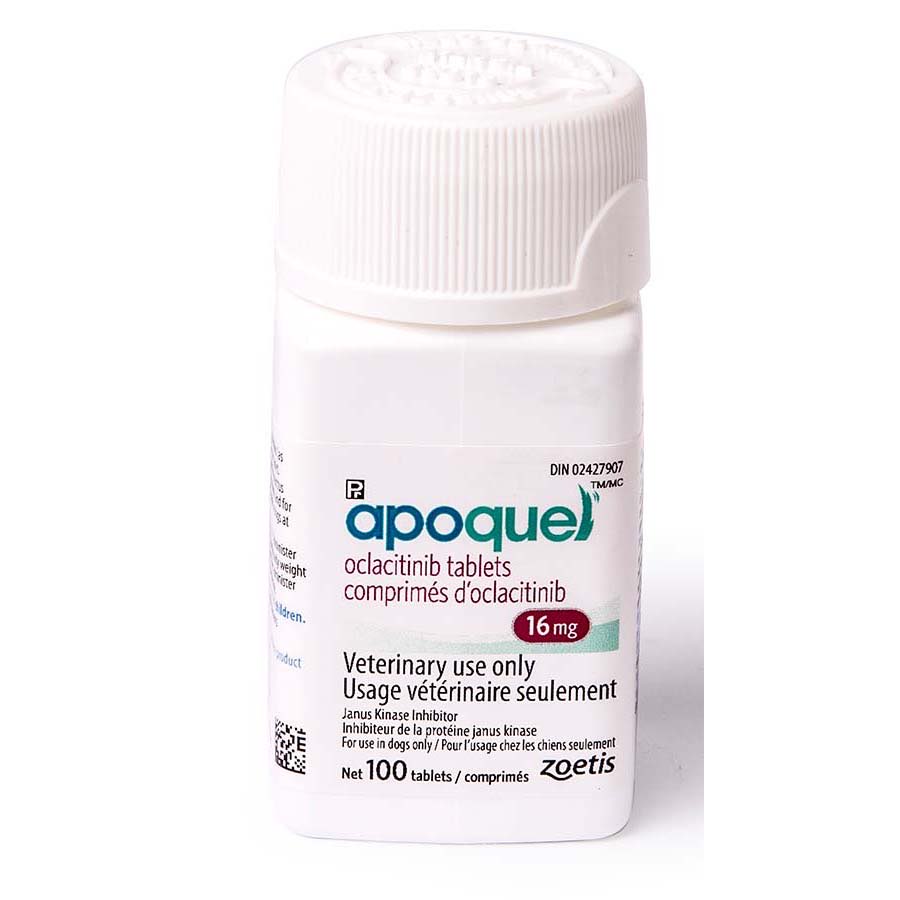 Apoquel tablet for dogs 16 mg 100 Tab