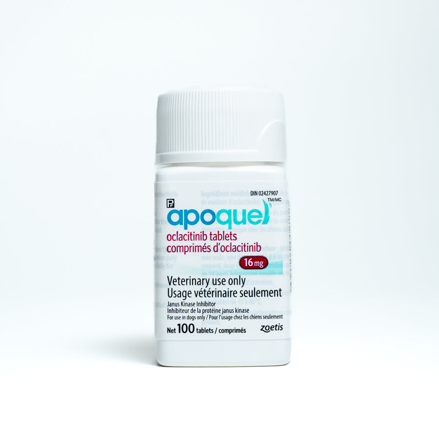 Apoquel tablet for dogs