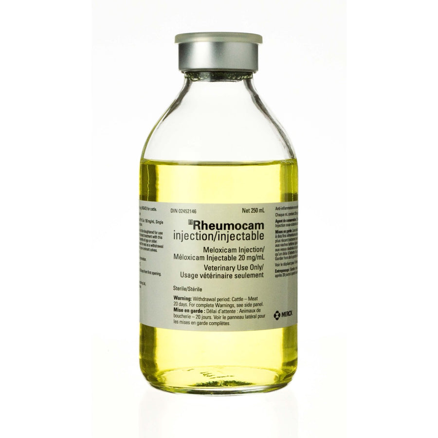 Rheumocam injection for bovine, sheep and swine 20 mg/ml 250 ml