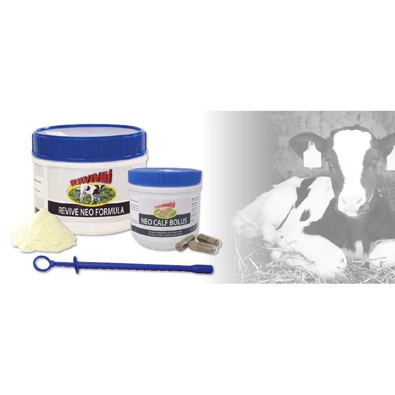 Revive Neo calf bolus 25 Bolus N/ A