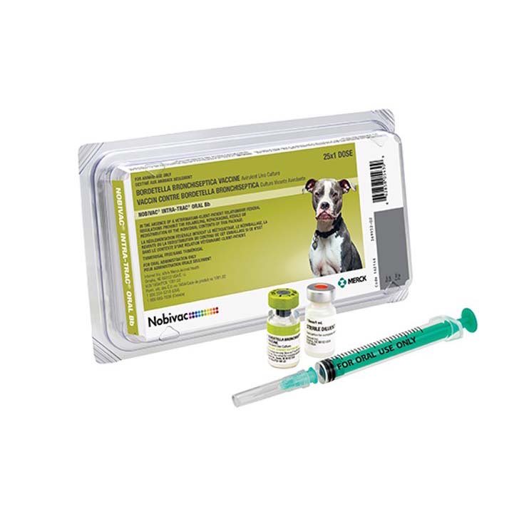 Nobivac Canine Intra-Trac Oral Bb 1 ml/Dose 25 x 1 ml