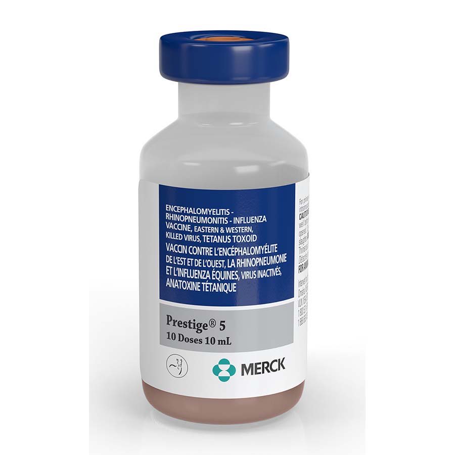 Prestige 5 1 ml/Dose 10 ml