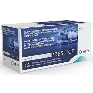 Prestige 5 1 ml/Dose 10 x 1 ml