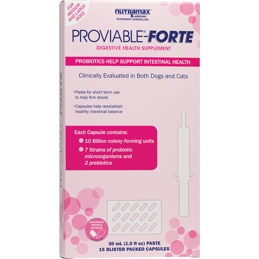 Proviable Forte kit for medium to large dogs 1 kit 10000000000 CFU