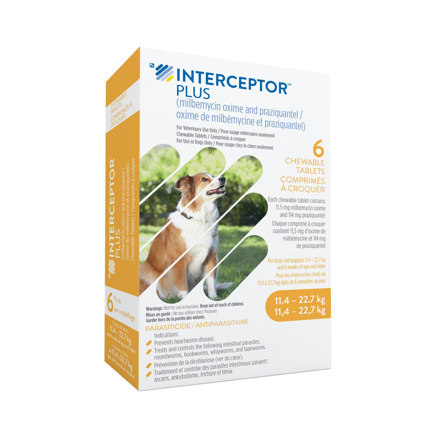 Interceptor Plus chewable tablet Yellow/Jaune 11.4-22.7 kg 6 Chewable Tablets