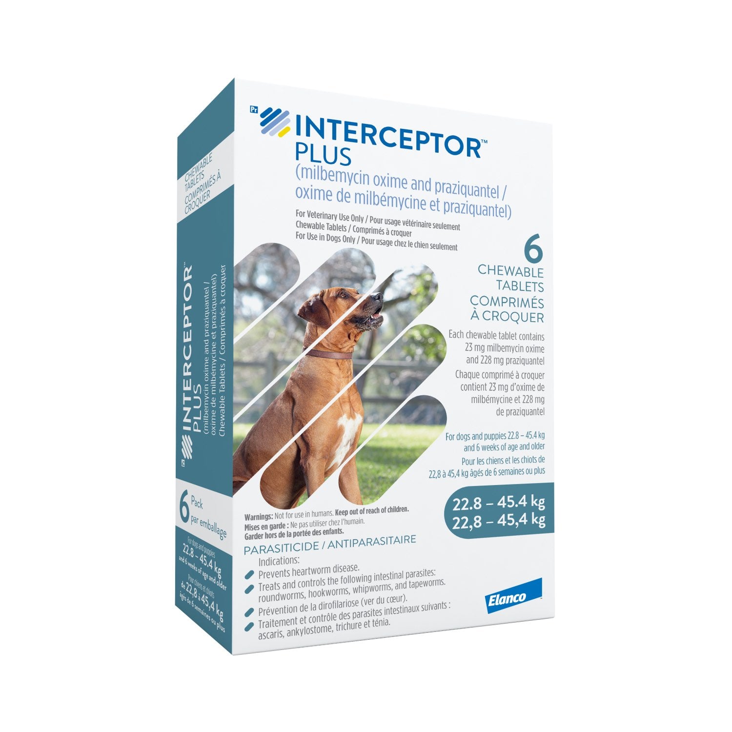 Interceptor Plus chewable tablet Blue/Bleu 22.8-45.4 kg 6 Chewable Tablets