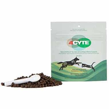 4CYTE dogs and cats Chicken 50 g