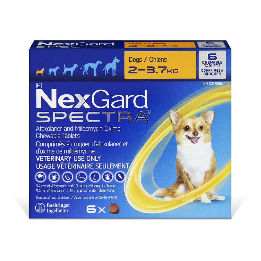 NexGard Spectra chewable tablets for dogs Orange 2 - 3.7 kg 6 Chewable Tablets