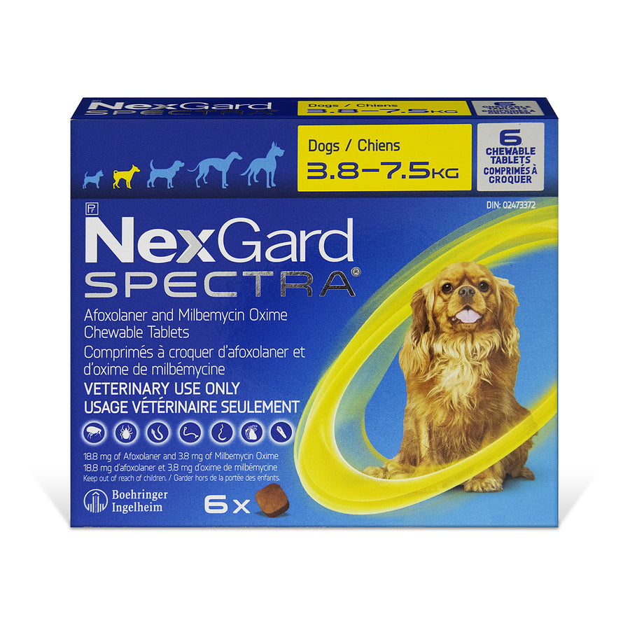 NexGard Spectra chewable tablets for dogs Yellow/Jaune 3.8 - 7.5 kg 6 Chewable Tablets