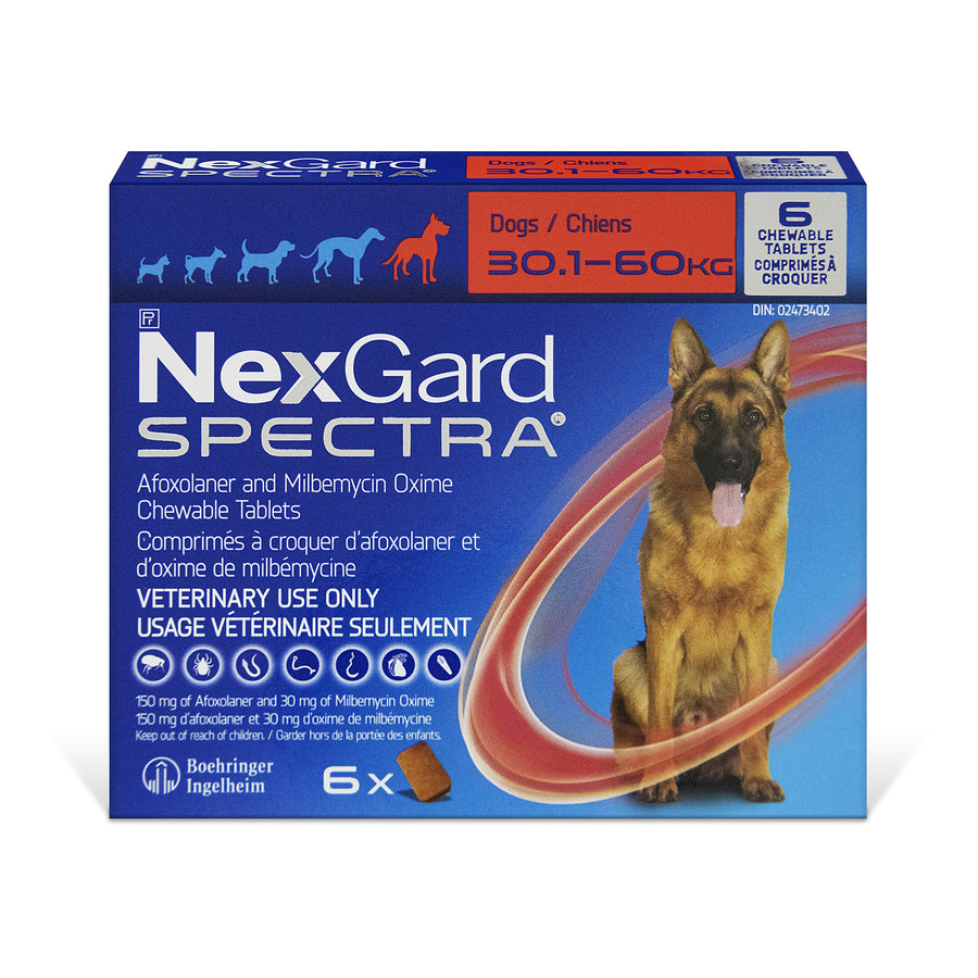 NexGard Spectra chewable tablets for dogs Red/Rouge 30.1 - 60 kg 6 Chewable Tablets