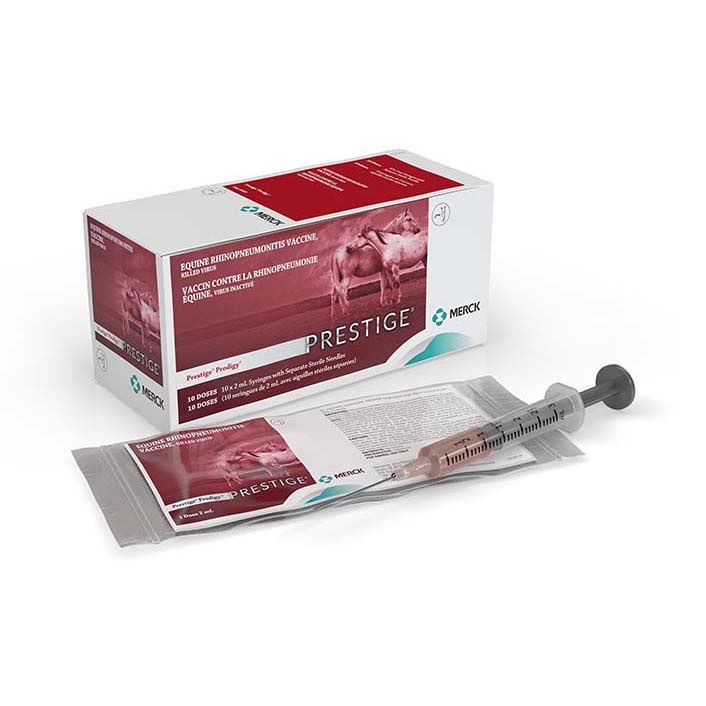 Prestige Prodigy 2 ml/Dose 10 x 2 ml