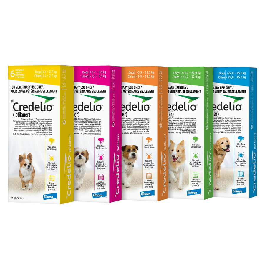 Credelio for dogs Yellow/Jaune 1.4 - 2.7 kg 6 Chewable Tablets