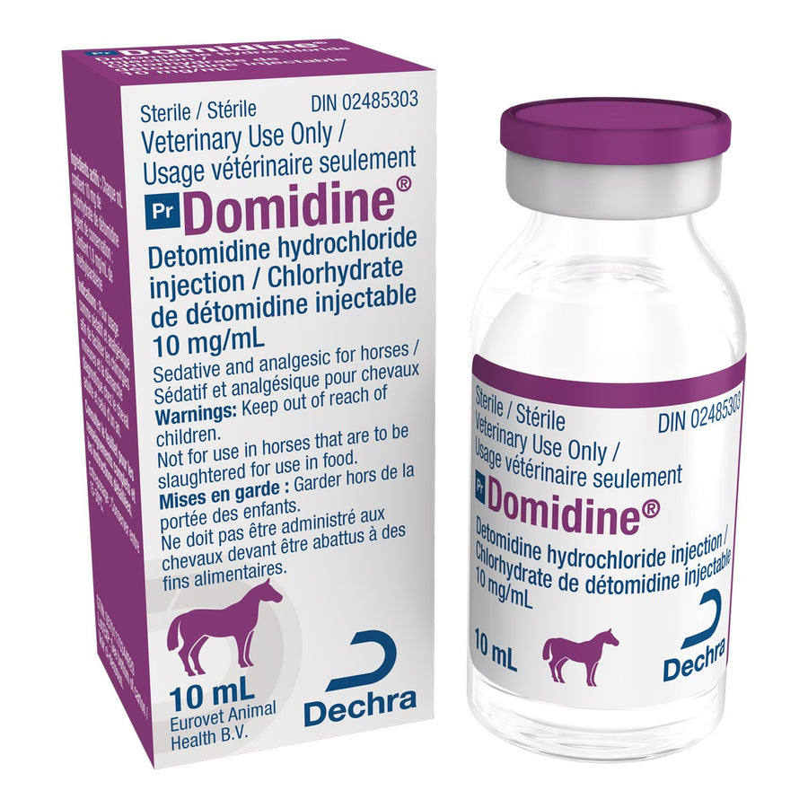 Domidine 10 mg/ml 10 ml