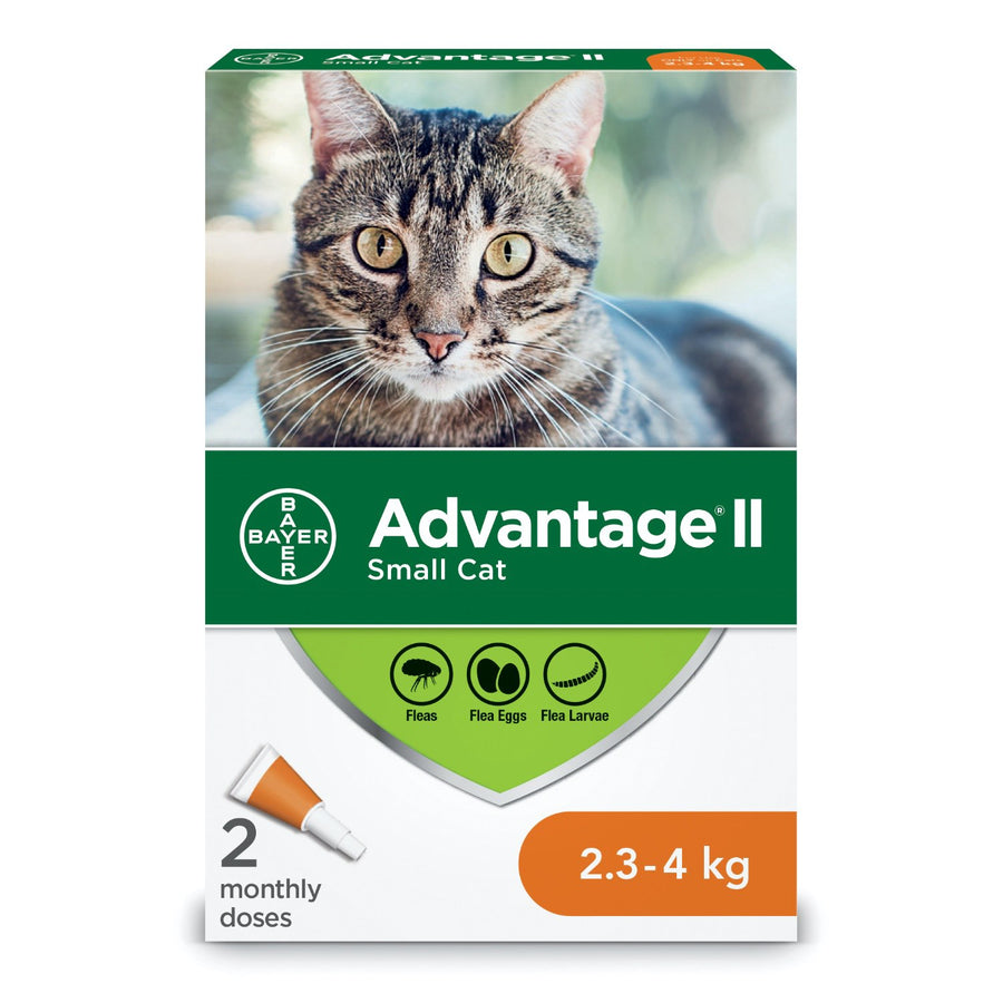 Advantage II for cats 2 x 0.4 ml Orange 2.3 - 4 kg
