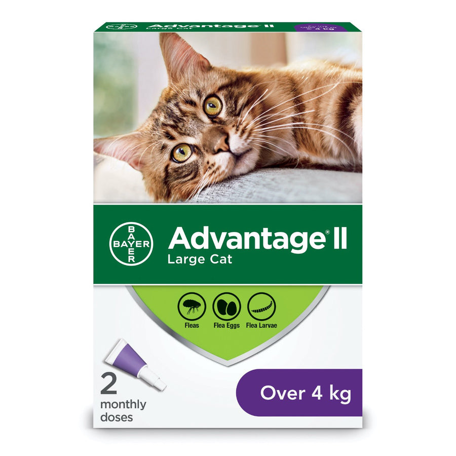 Advantage II for cats 2 x 0.8 ml Purple/Violet > 4 kg