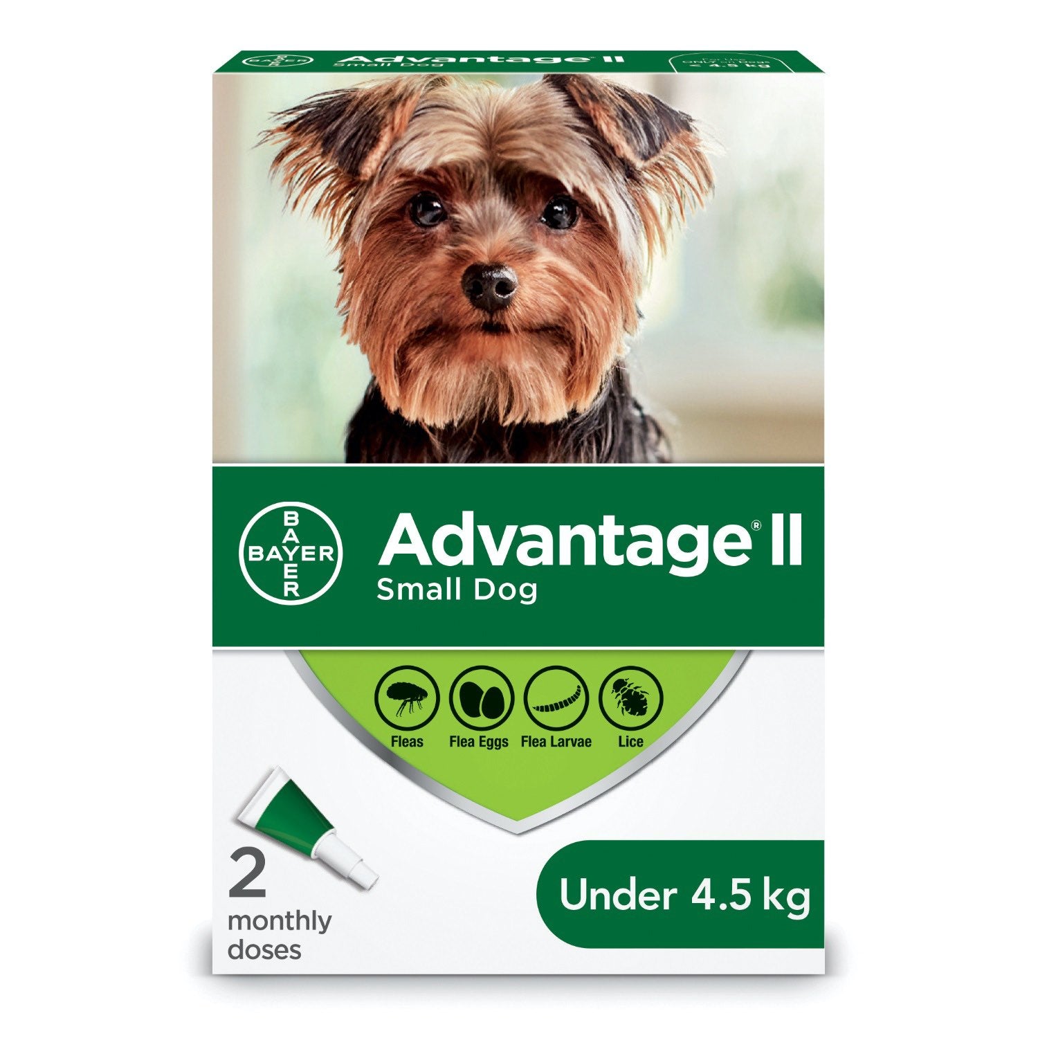 Advantage II for Dogs 2 Tubes Green/Vert < 4.5 kg
