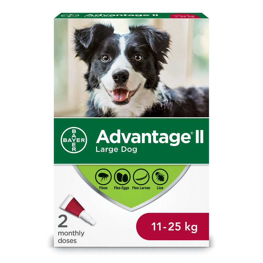 Advantage II for Dogs 2 Tubes Red/Rouge 11 - 25 kg