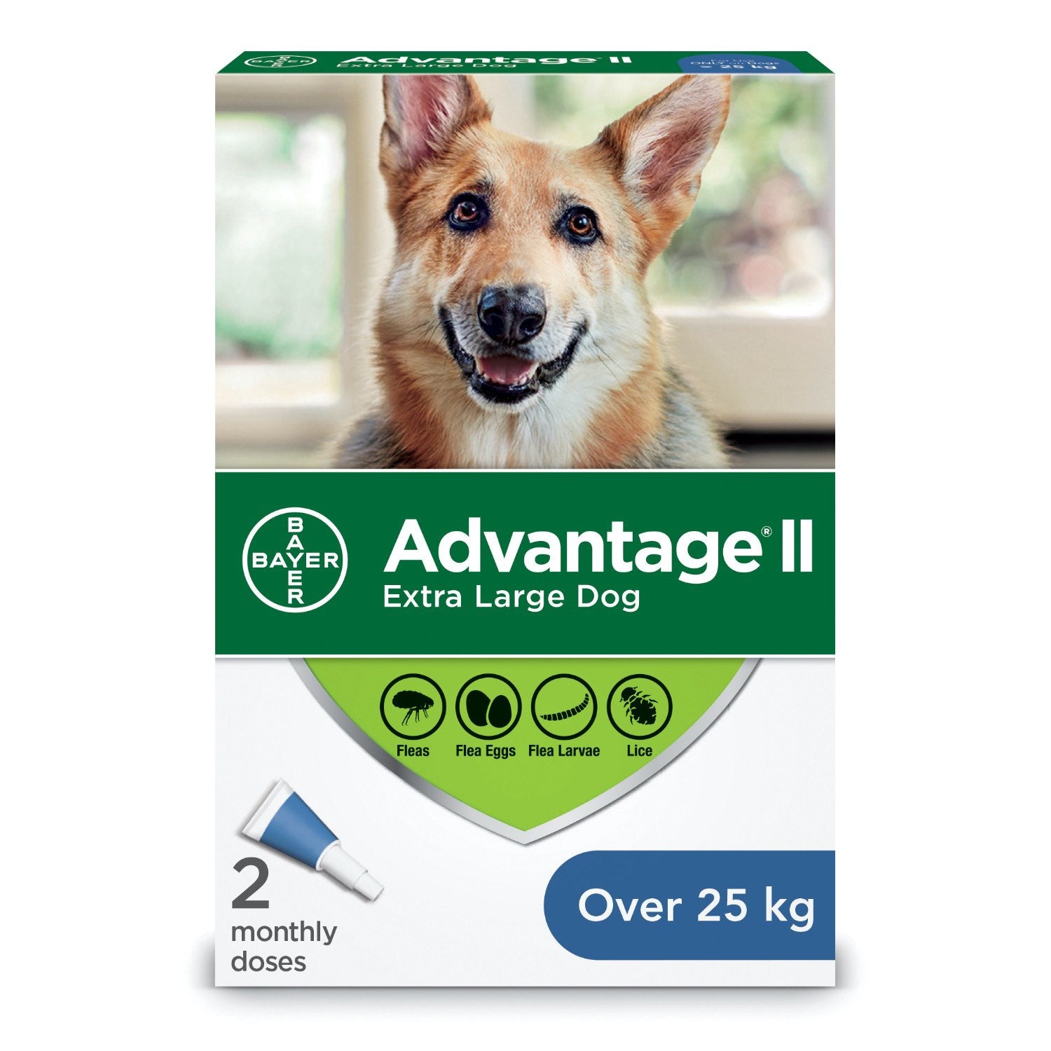 Advantage II for Dogs 2 Tubes Blue/Bleu > 25 kg