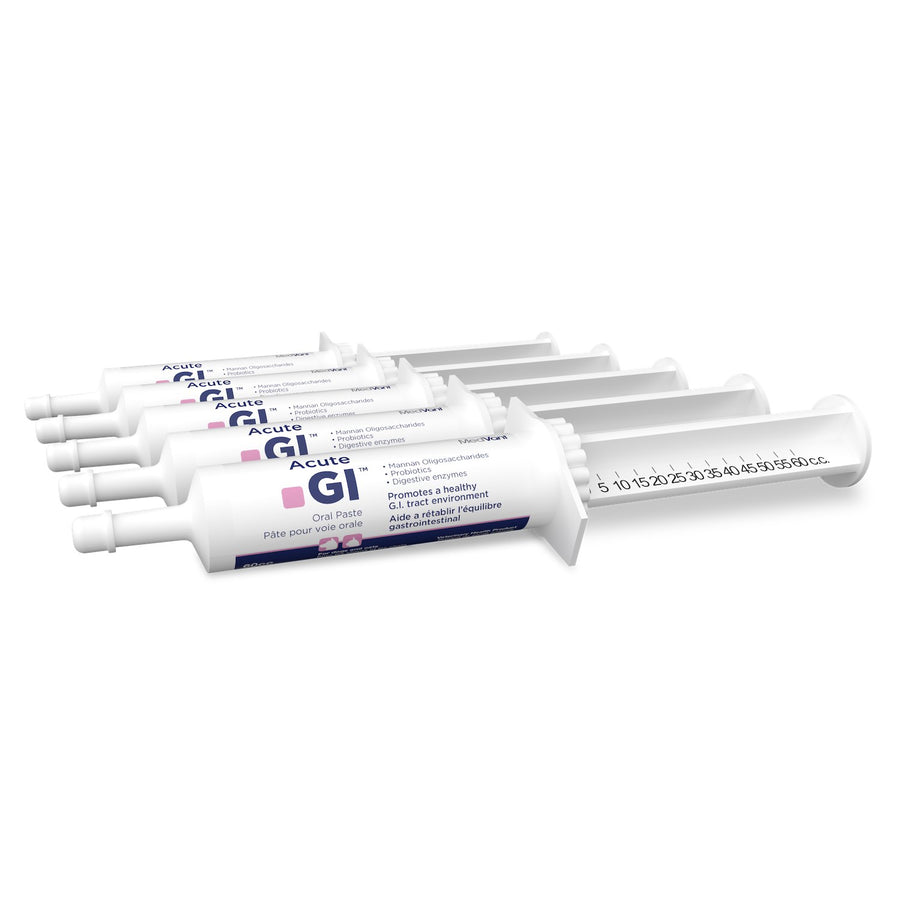 Acute GI oral paste Original 5 x 60 cc