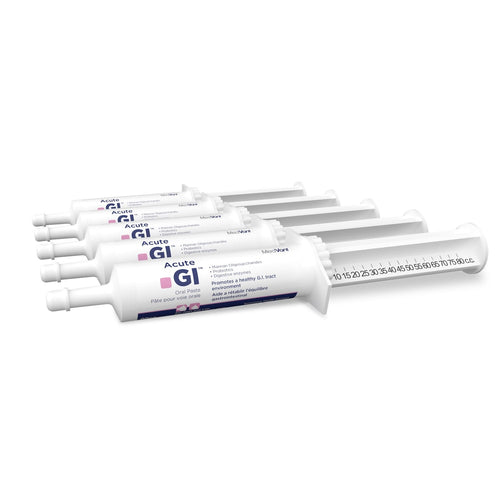Acute GI oral paste Original 5 x 80 cc