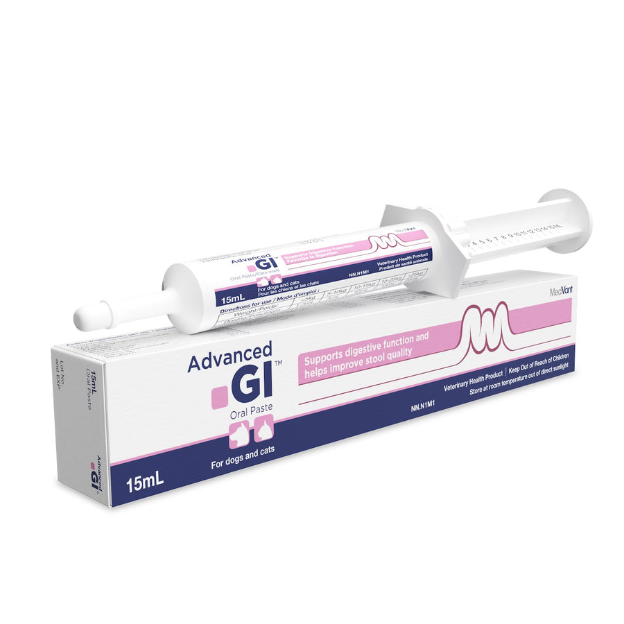 Advanced GI Oral Paste Original 15 ml