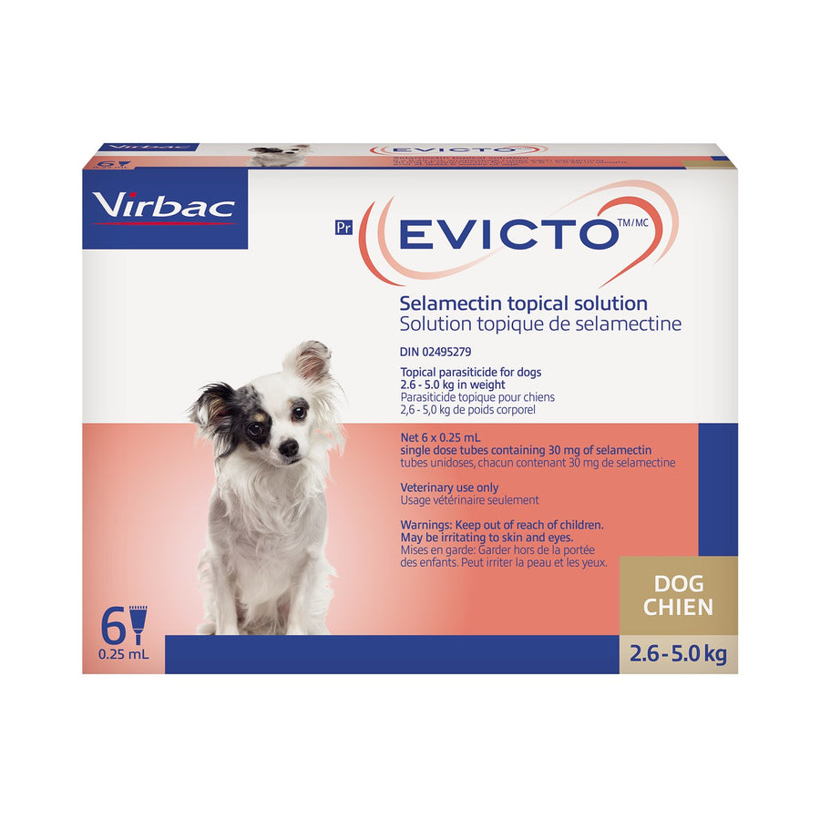 Evicto for Dog Brown/Brun 2.6 - 5 kg 6 x 0.25 ml