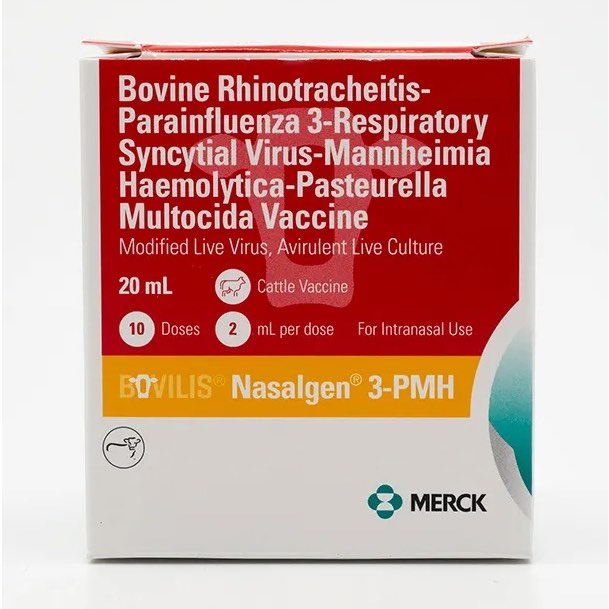 Bovilis Nasalgen 3-PMH 2 ml/Dose 20 ml