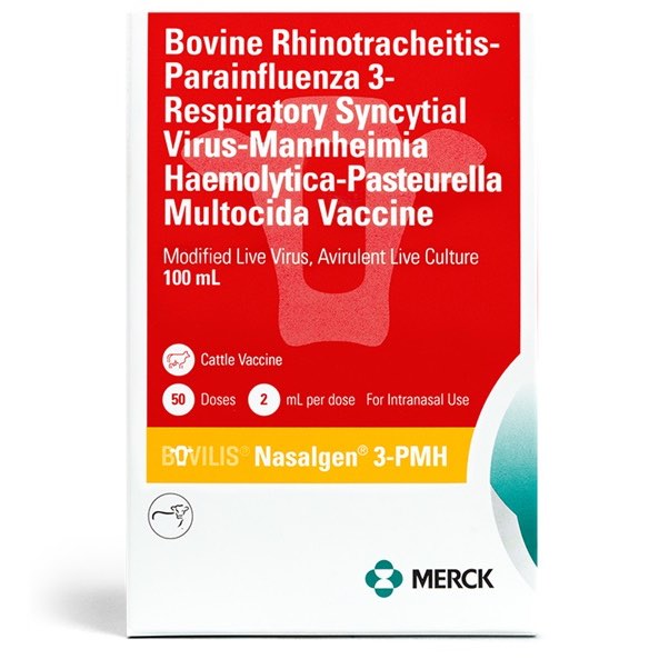 Bovilis Nasalgen 3-PMH 2 ml/Dose 100 ml
