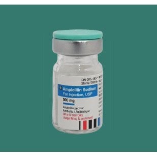 Ampicillin Sodium 250 mg/ml 10 x 500 mg