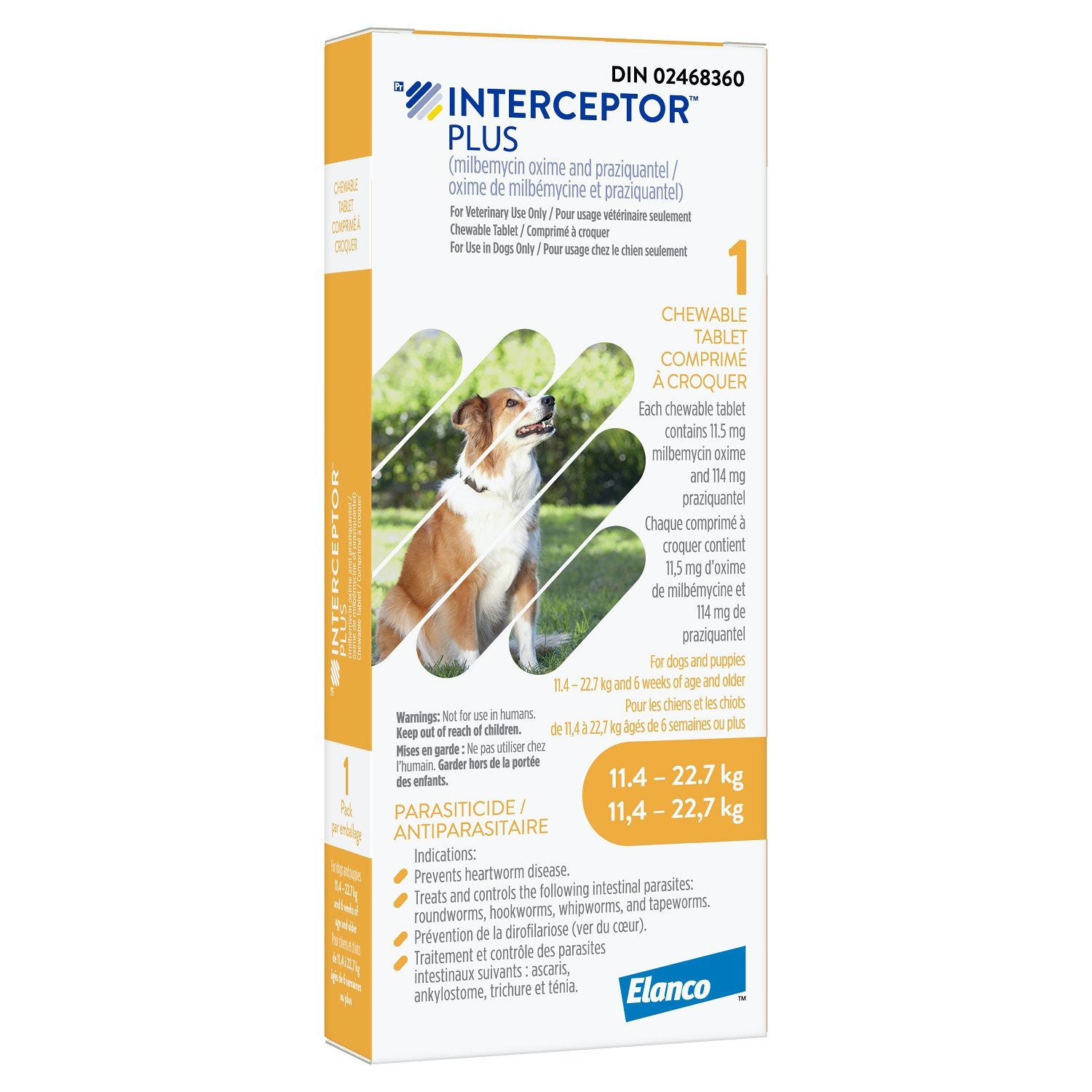 Interceptor Plus chewable tablet Yellow/Jaune 11.4-22.7 kg 16 x 1 Chewable Tablets