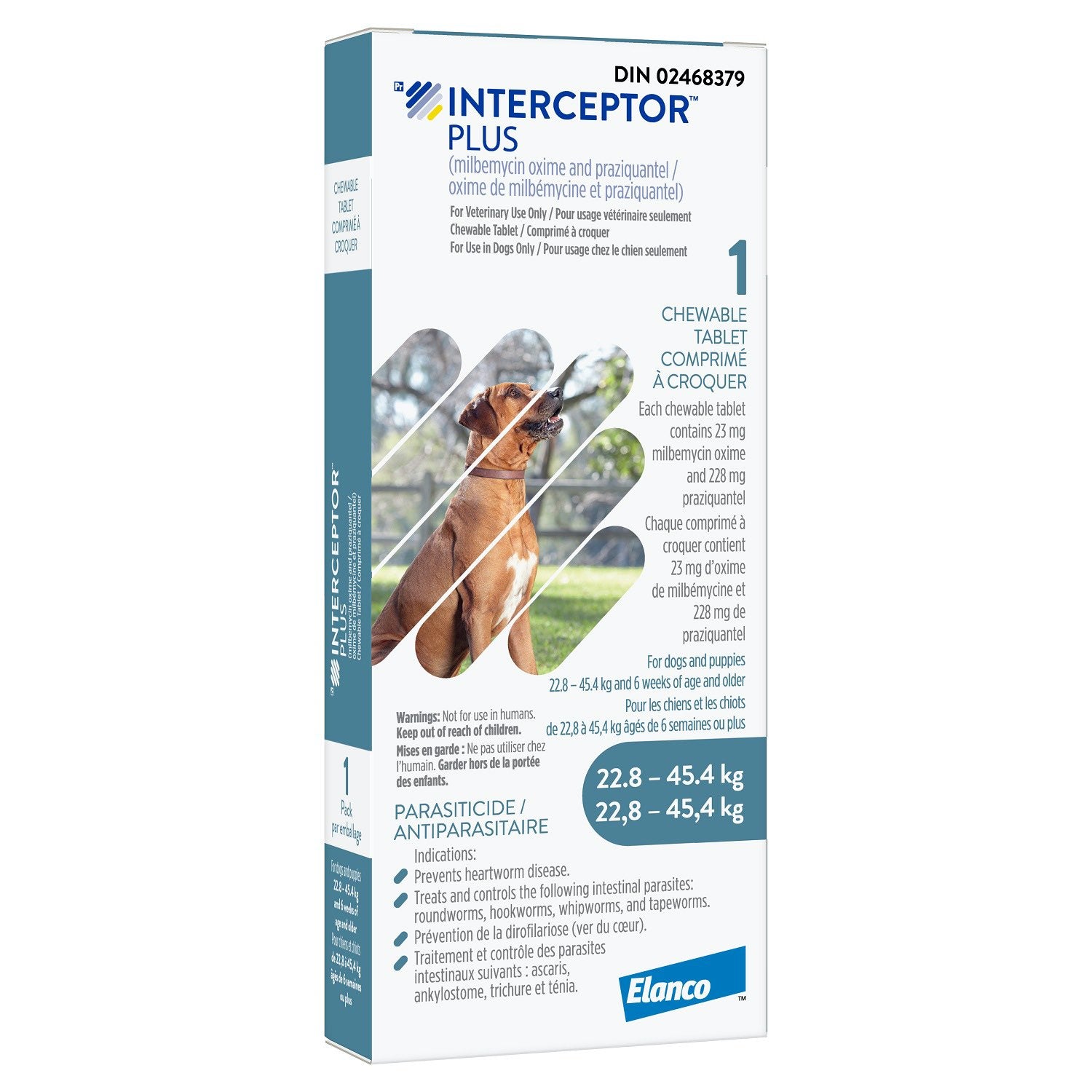 Interceptor Plus chewable tablet Blue/Bleu 22.8-45.4 kg 16 x 1 Chewable Tablets