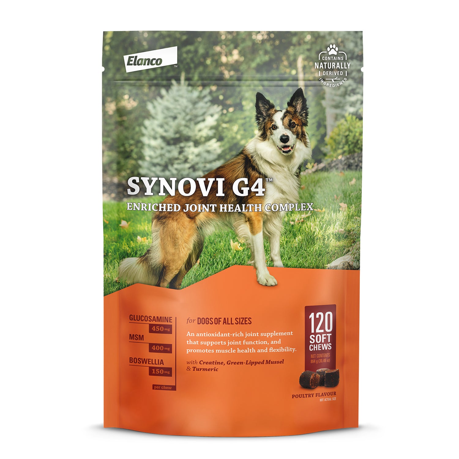 Synovi G4 120 Chews N/ A