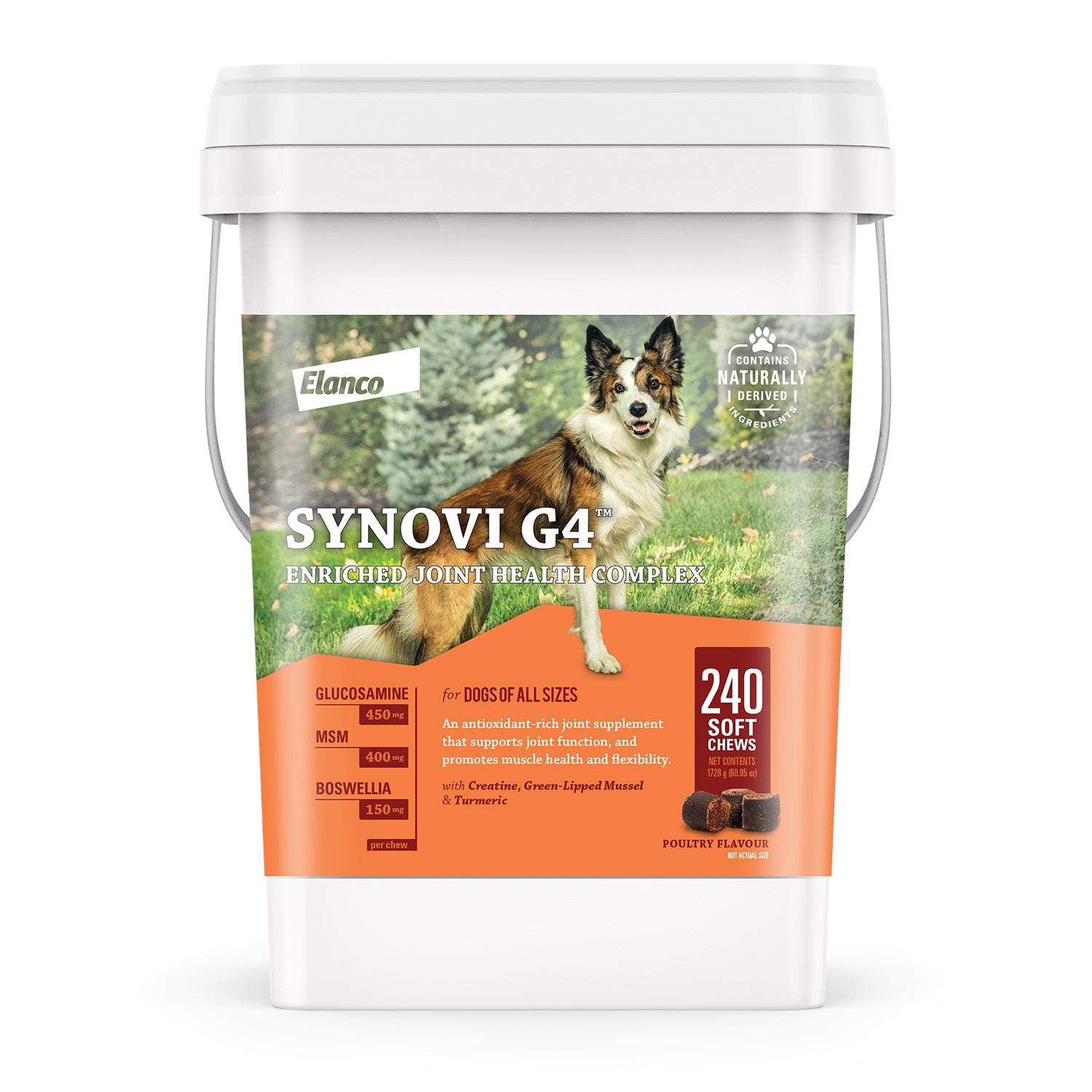 Synovi G4 240 Chews N/ A