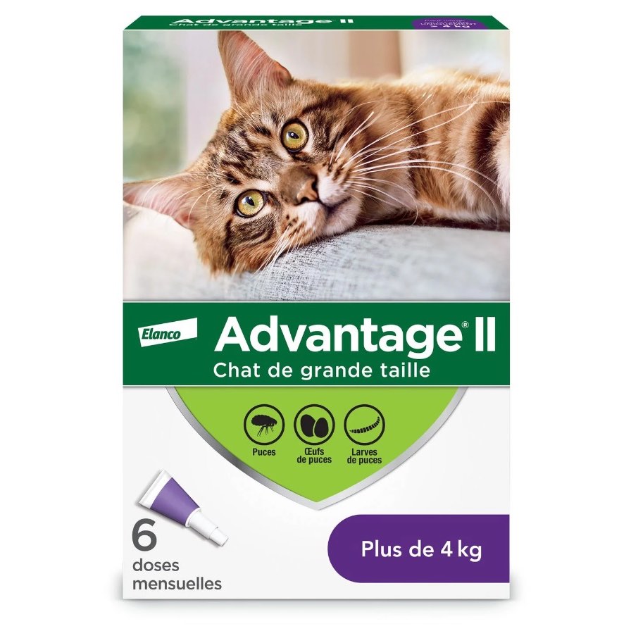 Advantage II for cats 6 /Pack Purple/Violet > 4 kg