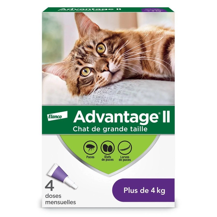 Advantage II for cats 4 /Pack Purple/Violet > 4 kg