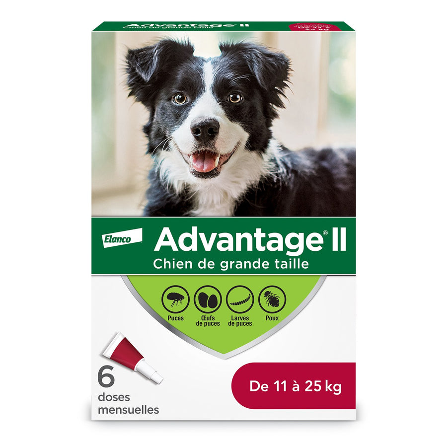 Advantage II for dogs Red/Rouge 11 - 25 kg 6 /Pack