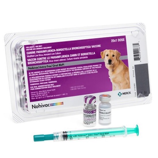 Nobivac canine Intra-Trac oral BbPi 1 ml/Dose 25 x 1 ml