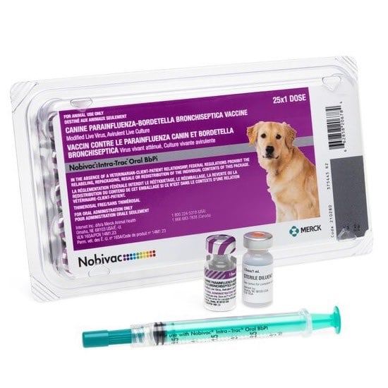 Nobivac canine Intra-Trac oral BbPi 1 ml/Dose 25 x 1 ml