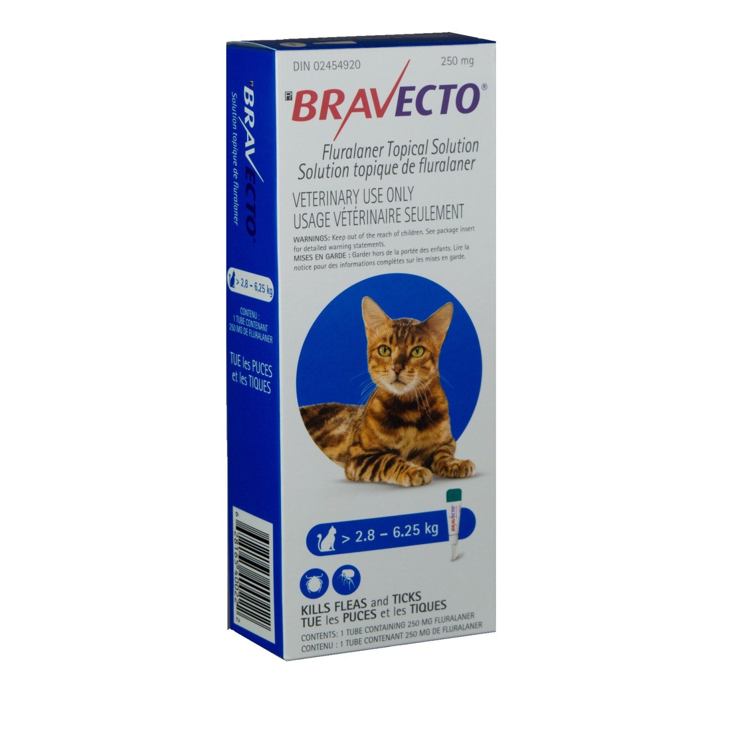 Bravecto topical solution for cats Blue/Bleu 2.9 - 6.25 kg 1 Applicator