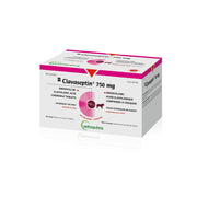 Clavaseptin chewable tablet for dogs