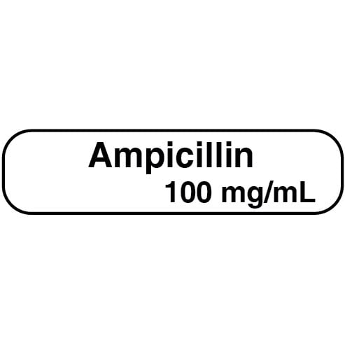Bilingual labels Ampicillin 100 mg/ml 2 x 500 /Pack