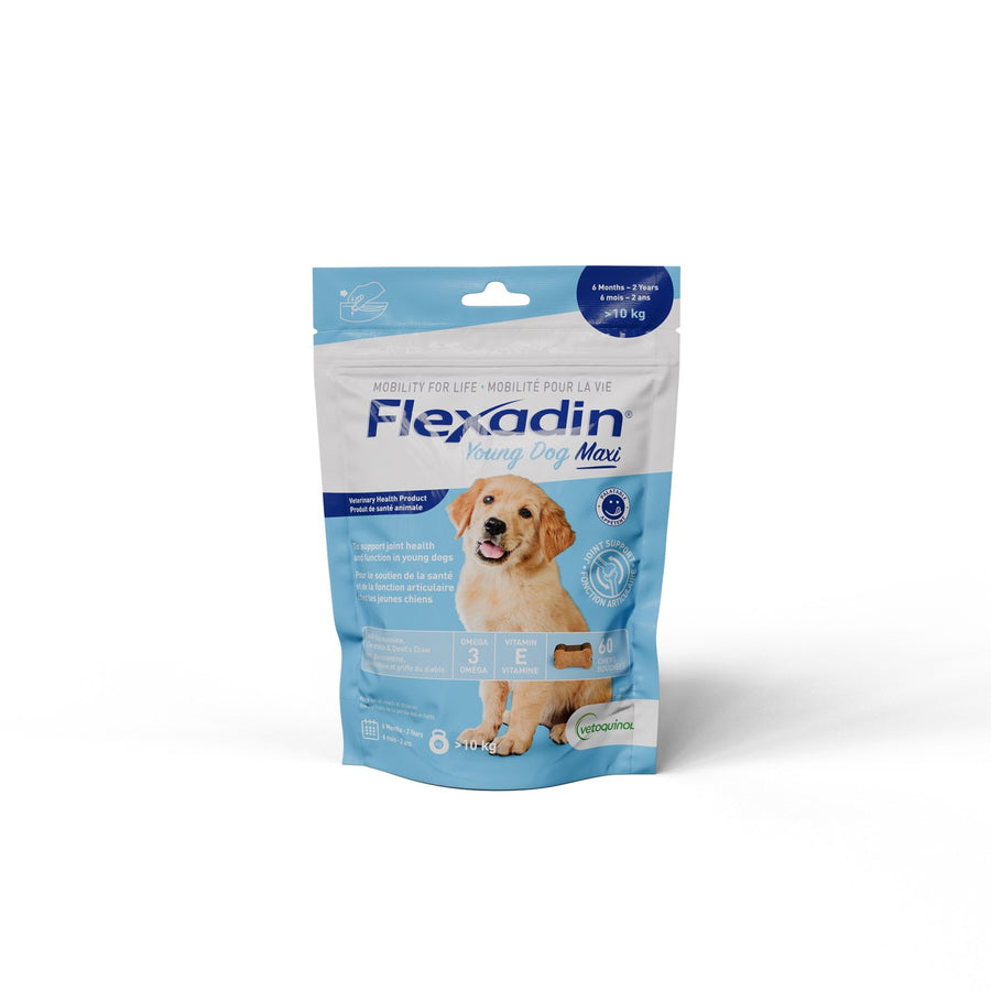 Flexadin Young Dog Maxi chews for young dogs Chicken 60 /Pack